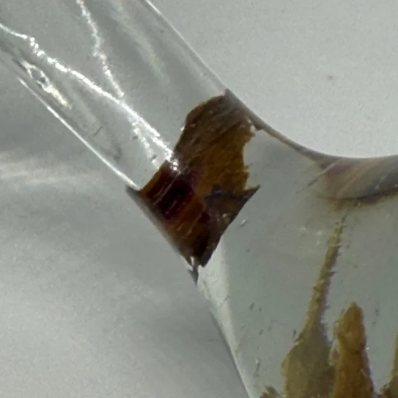 Unique Resin Elegant Bird Figurine - Brown and Clear - Picture 7 of 12